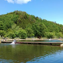 一日中釣れ続いた平谷湖フィッシングスポット